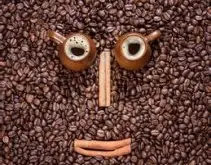 西达摩狮子王咖啡豆特点风味描述口感处理法品种研磨刻度介绍