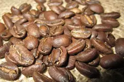 全球70多个国家都有种植-那个国家的咖啡最贵