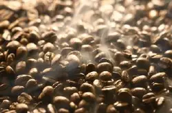 咖啡豆红酒处理法加工过程-豆种卡杜拉铁皮卡