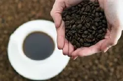 利比里亚种咖啡因含量-一杯咖啡的咖啡因含量