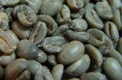 中国咖啡消费市场逐渐扩大-云南“新天王”瑰夏咖啡销售热情高