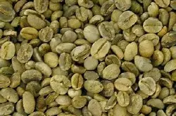 萨尔瓦多咖啡豆风味描述口感处理法产地区品种特点介绍