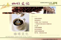 2016澄迈福山咖啡“旗袍夫人”总决赛