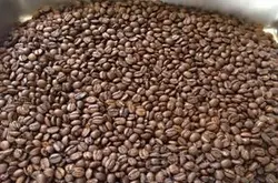 保山市小粒咖啡发展历史和发展现状