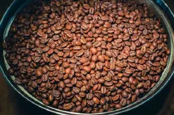阿拉比卡咖啡价格特点作用风味描述口感处理法品种产地区介绍