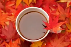 红樱桃日晒西达摩咖啡豆的风味描述口感处理法品种产地区介绍