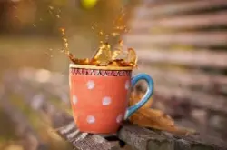 烛芒跟耶加雪菲咖啡豆的区别西达摩咖啡的风味描述口感