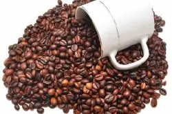 云南咖啡豆铁皮卡的特点 云南咖啡口感风味和描述处理法产地