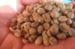 哥伦比亚圣瑞塔庄园咖啡豆的种植环境处理法介绍