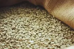 铁皮卡和卡蒂姆咖啡豆风味描述口感 蜜处理法的分级