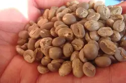 哥伦比亚娜玲珑咖啡豆的研磨刻度风味描述口感