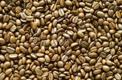 哥斯达黎加圣罗曼咖啡豆采用什么处理法