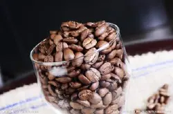 咖啡豆的各部分结构名称