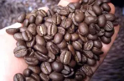 巴拿马瑰夏咖啡的处理法风味描述研磨刻度品种
