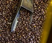 西达摩和耶加雪菲咖啡豆的风味描述口感处理法研磨刻度品种