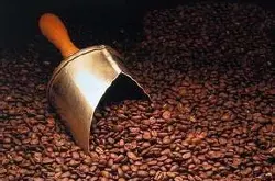 巴拿马艾丽达庄园咖啡豆的风味描述处理法研磨刻度