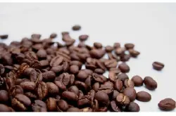 铁皮卡咖啡豆的特点种植环境风味描述口感介绍
