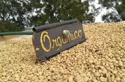 肯尼亚衣索匹亚咖啡豆的特点风味描述简介