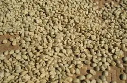 危地马拉安提瓜花神精品咖啡豆的特点种植环境风味描述介绍