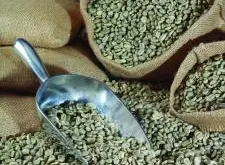 巴西官方预估今年会是一个咖啡豆大丰收年
