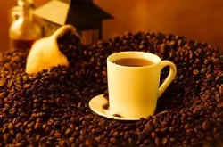 尼加拉瓜咖啡豆的风味描述特点处理法口感产地区品种简介