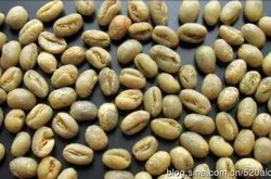 进出口小粒咖啡豆检验检疫规程编制说明