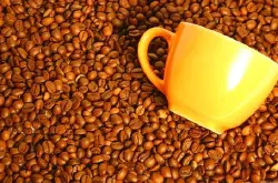 西达摩和耶加雪菲咖啡豆区别 西达摩咖啡风味描述口感处理法介绍