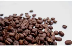 饥荒咖啡树生长周期