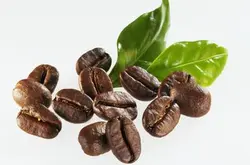 耶加雪菲咖啡豆的风味特点口感产地区品种处理法庄园