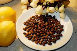普洱咖啡产业发展目标和计划打造“思茅小粒咖啡”优质品牌