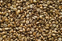 哥伦比亚春天庄园咖啡豆的种植环境口感风味描述