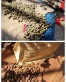 巴拿马波奎特花蝴蝶咖啡豆—含有比蓝山咖啡还贵的咖啡豆品种