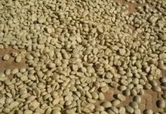 厄瓜多尔精品咖啡豆风味口感庄园产区特点哈森达咖啡园简介