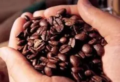 波多黎各咖啡庄园产区风味口感介绍圣佩德罗庄园简介
