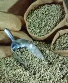 美洲特产危地马拉穹顶庄园咖啡豆种植环境简介