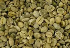 埃塞俄比亚班其玛吉咖啡豆的原产地庄园特点风味口感简介