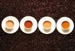 巴西黄波旁咖啡豆风味特点品种口感庄园种植情况研磨度处理法简介