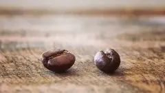 咖啡豆常识：咖啡公豆与母豆的概念和区别 pb是什么意思