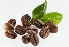 非洲咖啡产国卢旺达咖啡奇迈尔庄园咖啡种植情况气候海拔简介