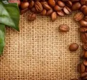 口味芳香浓烈的波多黎各圣佩德罗庄园精品咖啡豆起源发展历史文化