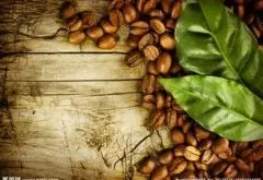 甜美可人的埃塞俄比亚耶加雪菲科契尔庄园精品咖啡豆起源发展历史