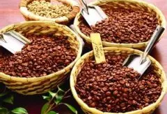 酸中带甜的加拉帕戈斯精品咖啡豆研磨度烘焙程度处理方法简介