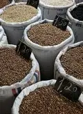 豆小香浓的埃塞俄比亚精品咖啡豆起源发展历史文化简介