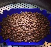 略带果味的铁皮卡精品咖啡豆种植情况地理位置气候海拔简介