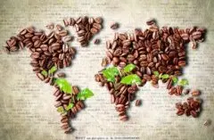 口味清新淡雅的艾丽达庄园精品咖啡豆起源发展历史文化简介