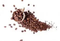坚果风味的圣佩德罗庄园精品咖啡豆品种种植市场价格简介