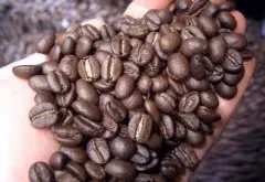 光滑硬度高的茵赫特庄园精品咖啡豆品种种植市场价格简介