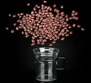 豆颗粒较大的印尼曼特宁精品咖啡豆品种种植市场价格简介