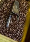 浓厚香气的坦桑尼亚精品咖啡豆品种种植市场价格简介