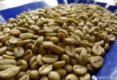 酸度较轻的班其玛吉精品咖啡豆种植情况地理位置气候海拔简介